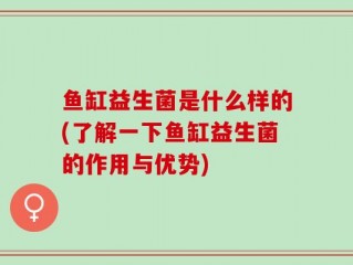 鱼缸益生菌是什么样的(了解一下鱼缸益生菌的作用与优势)