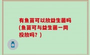 有鱼苗可以放益生菌吗(鱼苗可与益生菌一同投放吗？)