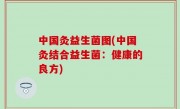中国灸益生菌图(中国灸结合益生菌：健康的良方)