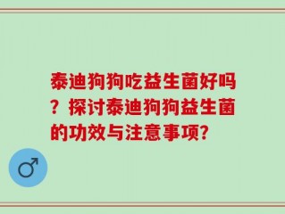 泰迪狗狗吃益生菌好吗？探讨泰迪狗狗益生菌的功效与注意事项？