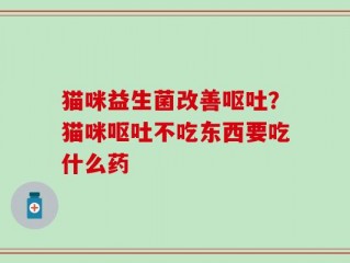 猫咪益生菌改善呕吐？猫咪呕吐不吃东西要吃什么药