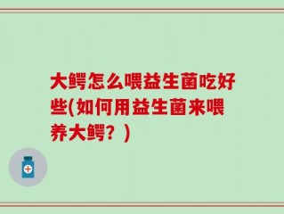 大鳄怎么喂益生菌吃好些(如何用益生菌来喂养大鳄？)