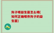 狗子喂益生菌怎么喂(如何正确喂养狗子的益生菌)