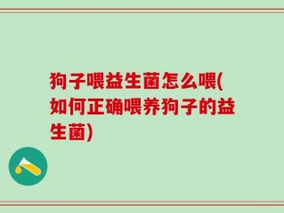 狗子喂益生菌怎么喂(如何正确喂养狗子的益生菌)