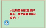 小肚腩益生菌(肚腩好帮手，益生菌教你得心应手！)