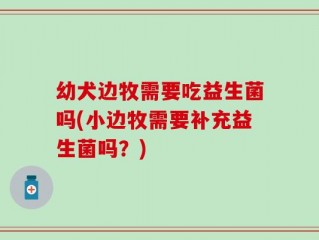幼犬边牧需要吃益生菌吗(小边牧需要补充益生菌吗？)