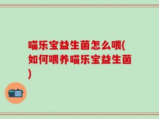 喵乐宝益生菌怎么喂(如何喂养喵乐宝益生菌)