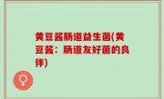 黄豆酱肠道益生菌(黄豆酱：肠道友好菌的良伴)