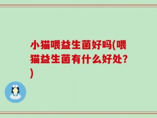 小猫喂益生菌好吗(喂猫益生菌有什么好处？)
