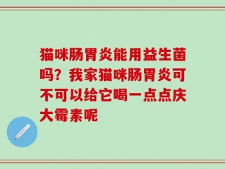 猫咪肠胃炎能用益生菌吗？我家猫咪肠胃炎可不可以给它喝一点点庆大霉素呢