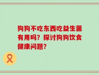 狗狗不吃东西吃益生菌有用吗？探讨狗狗饮食健康问题？