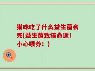 猫咪吃了什么益生菌会死(益生菌致猫命逝！小心喂养！)