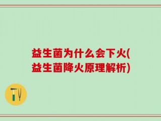 益生菌为什么会下火(益生菌降火原理解析)