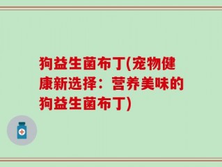 狗益生菌布丁(宠物健康新选择：营养美味的狗益生菌布丁)