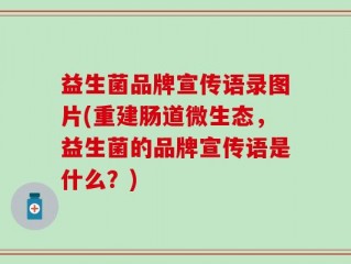 益生菌品牌宣传语录图片(重建肠道微生态，益生菌的品牌宣传语是什么？)