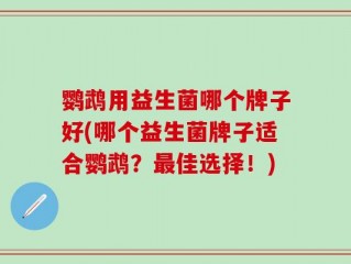 鹦鹉用益生菌哪个牌子好(哪个益生菌牌子适合鹦鹉？最佳选择！)