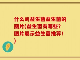 什么叫益生菌益生菌的图片(益生菌有哪些？图片展示益生菌推荐！)