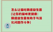 怎么让猫吃肠道益生菌(让你的猫咪更健康：肠道益生菌有助于与消化问题作斗争)