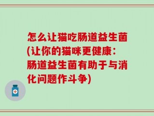怎么让猫吃肠道益生菌(让你的猫咪更健康：肠道益生菌有助于与消化问题作斗争)