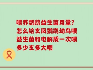 喂养鹦鹉益生菌用量？怎么给玄凤鹦鹉幼鸟喂益生菌和电解质一次喂多少玄多大喂
