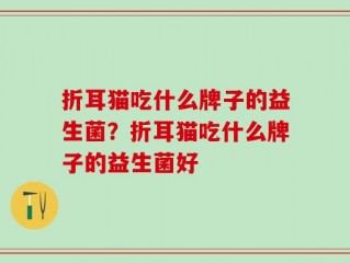 折耳猫吃什么牌子的益生菌？折耳猫吃什么牌子的益生菌好