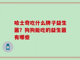 哈士奇吃什么牌子益生菌？狗狗能吃的益生菌有哪些