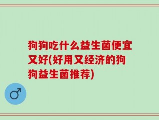 狗狗吃什么益生菌便宜又好(好用又经济的狗狗益生菌推荐)