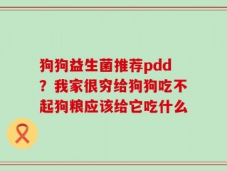 狗狗益生菌推荐pdd？我家很穷给狗狗吃不起狗粮应该给它吃什么