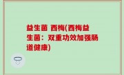 益生菌 西梅(西梅益生菌：双重功效加强肠道健康)