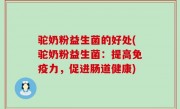 驼奶粉益生菌的好处(驼奶粉益生菌：提高免疫力，促进肠道健康)