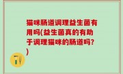 猫咪肠道调理益生菌有用吗(益生菌真的有助于调理猫咪的肠道吗？)