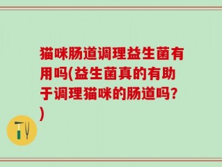 猫咪肠道调理益生菌有用吗(益生菌真的有助于调理猫咪的肠道吗？)