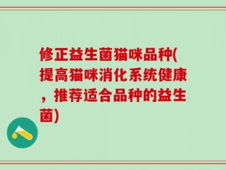 修正益生菌猫咪品种(提高猫咪消化系统健康，推荐适合品种的益生菌)