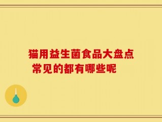猫用益生菌食品大盘点 常见的都有哪些呢