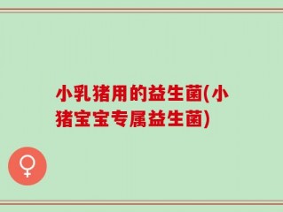 小乳猪用的益生菌(小猪宝宝专属益生菌)