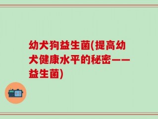 幼犬狗益生菌(提高幼犬健康水平的秘密——益生菌)
