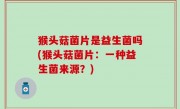 猴头菇菌片是益生菌吗(猴头菇菌片：一种益生菌来源？)