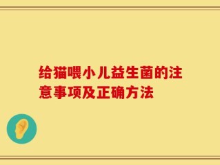给猫喂小儿益生菌的注意事项及正确方法
