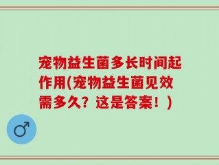 宠物益生菌多长时间起作用(宠物益生菌见效需多久？这是答案！)