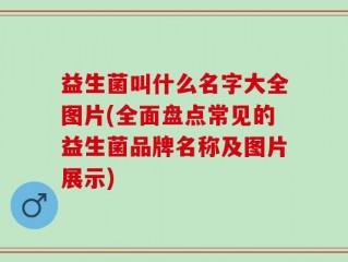 益生菌叫什么名字大全图片(全面盘点常见的益生菌品牌名称及图片展示)