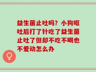 益生菌止吐吗？小狗呕吐后打了针吃了益生菌止吐了但却不吃不喝也不爱动怎么办