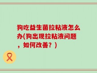 狗吃益生菌拉粘液怎么办(狗出现拉粘液问题，如何改善？)