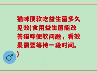 猫咪便软吃益生菌多久见效(食用益生菌能改善猫咪便软问题，看效果需要等待一段时间。)