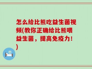 怎么给比熊吃益生菌视频(教你正确给比熊喂益生菌，提高免疫力！)