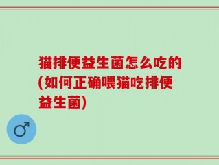 猫排便益生菌怎么吃的(如何正确喂猫吃排便益生菌)