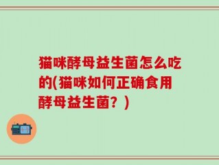 猫咪酵母益生菌怎么吃的(猫咪如何正确食用酵母益生菌？)