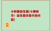 小粉腰益生菌(小腰精华！益生菌改善代谢问题)