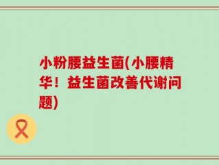 小粉腰益生菌(小腰精华！益生菌改善代谢问题)