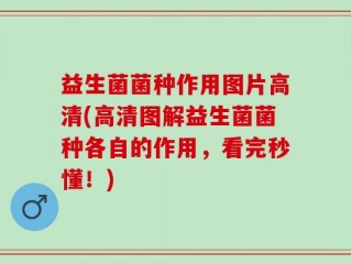 益生菌菌种作用图片高清(高清图解益生菌菌种各自的作用，看完秒懂！)
