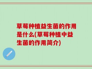草莓种植益生菌的作用是什么(草莓种植中益生菌的作用简介)